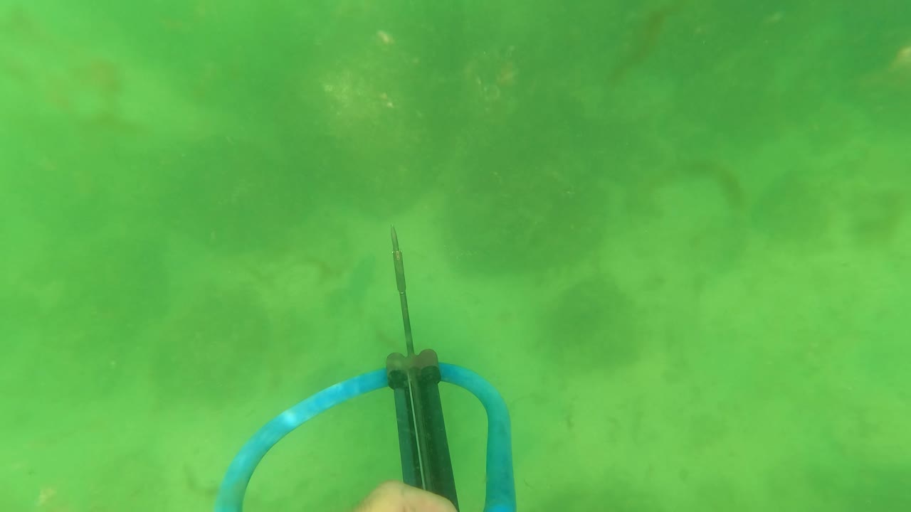 At 0:02, a partial hand appears near the lower right edge beside the speargun and blue band in green San Jose Del Cabo water, with no face visible.