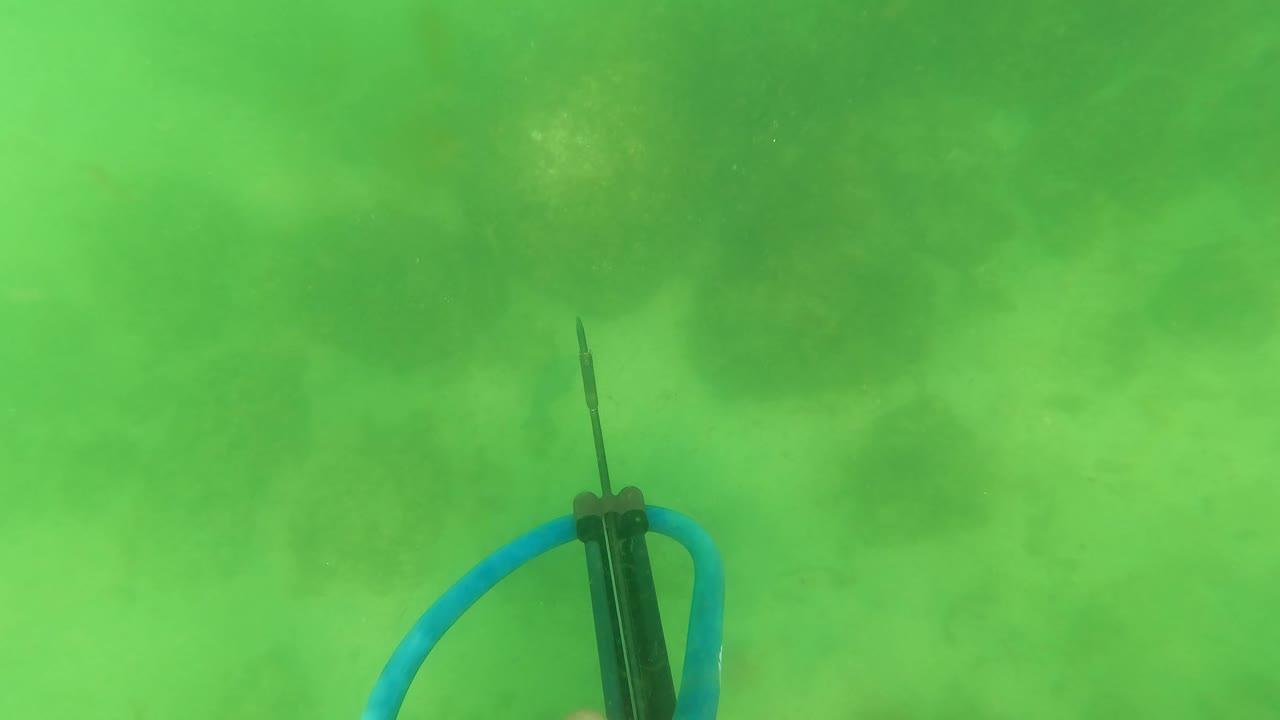At 0:03, the speargun rises from the lower portion of the frame with the blue band arcing through cloudy green water in San Jose Del Cabo, with no visible face.