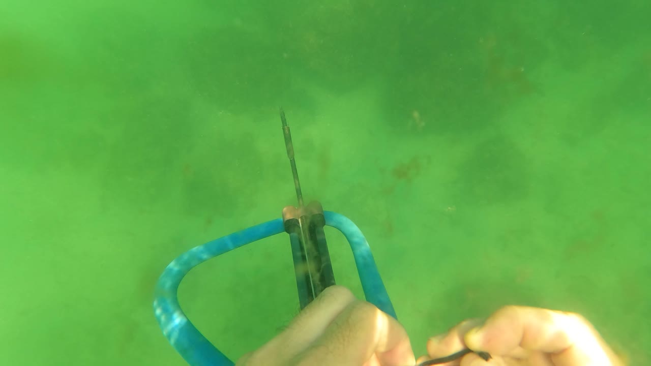 At 0:00 in San Jose del Cabo, a diver's hand reaches into green water to adjust a blue and black speargun near the left side of the frame.