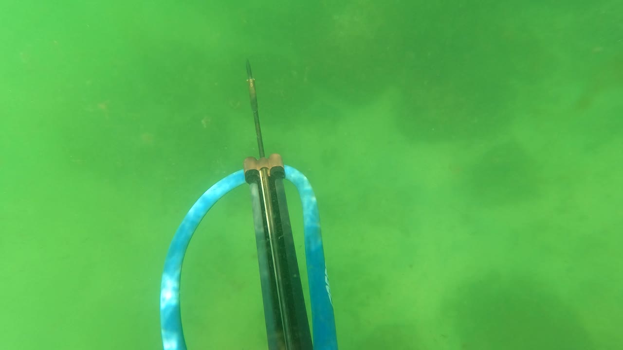 Blue and black speargun centered in green underwater haze.