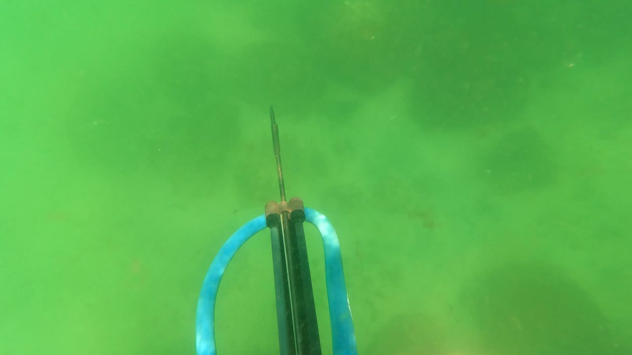 At 0:02 in San Jose del Cabo, the speargun shifts toward the right side of the frame while green water and soft seabed shapes remain behind it.