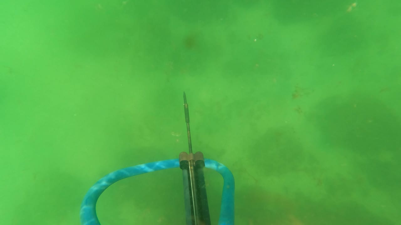 The blue speargun remains centered against the green ocean floor near San Jose del Cabo, with the hand not clearly visible in this frame.