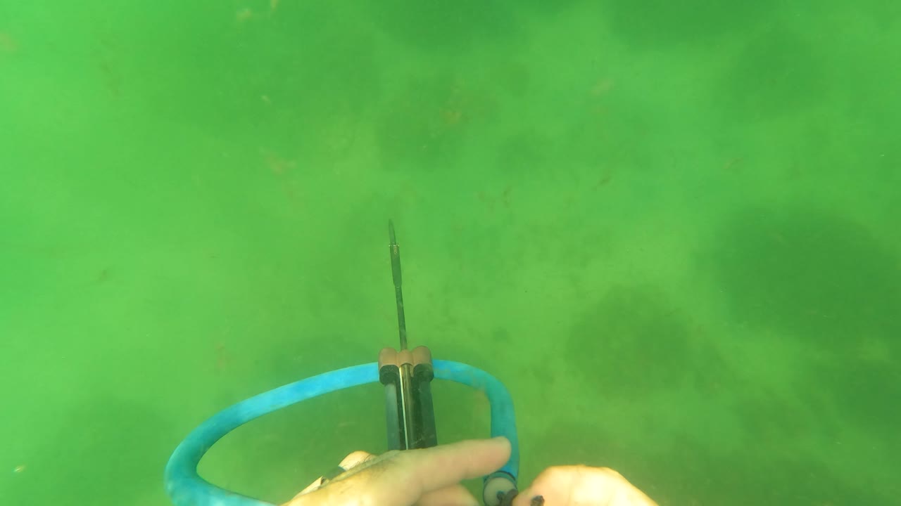 A hand enters beside the blue and black speargun in green water near San Jose del Cabo, with the seabed blurred behind the gear.