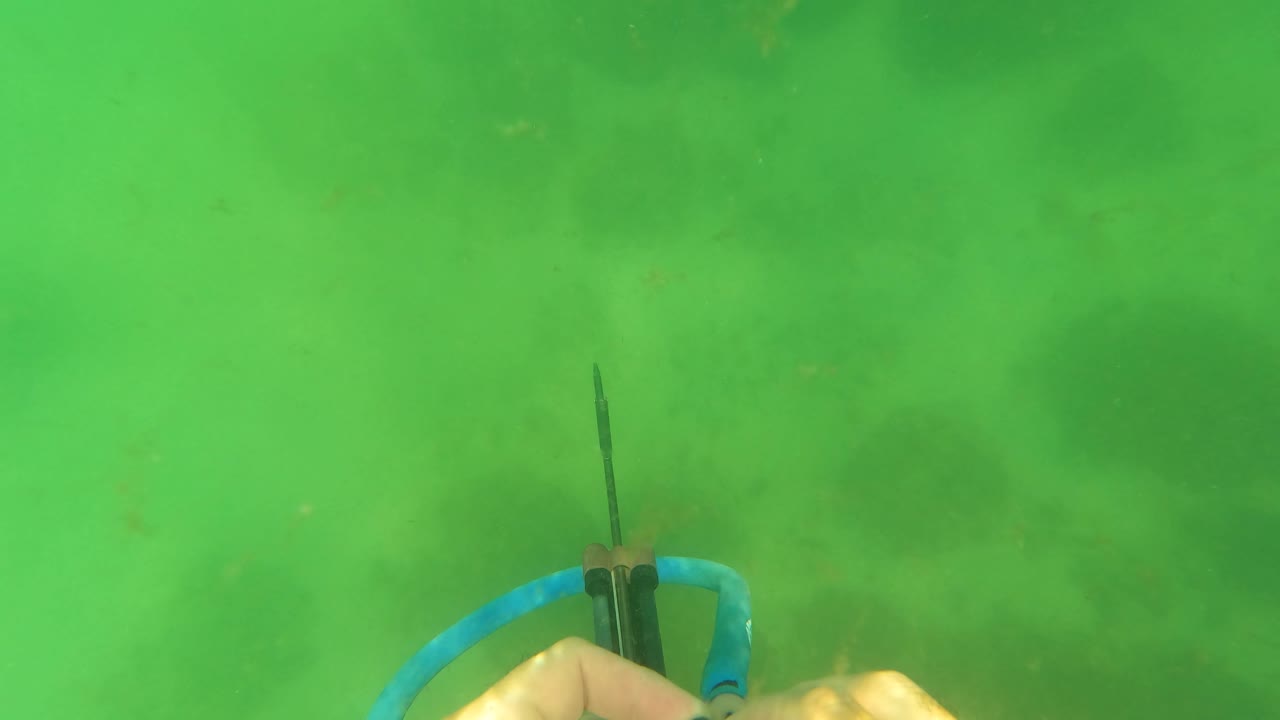 A hand holds the lower part of the blue speargun underwater near San Jose del Cabo, with hazy green water and dark seabed patches behind it.