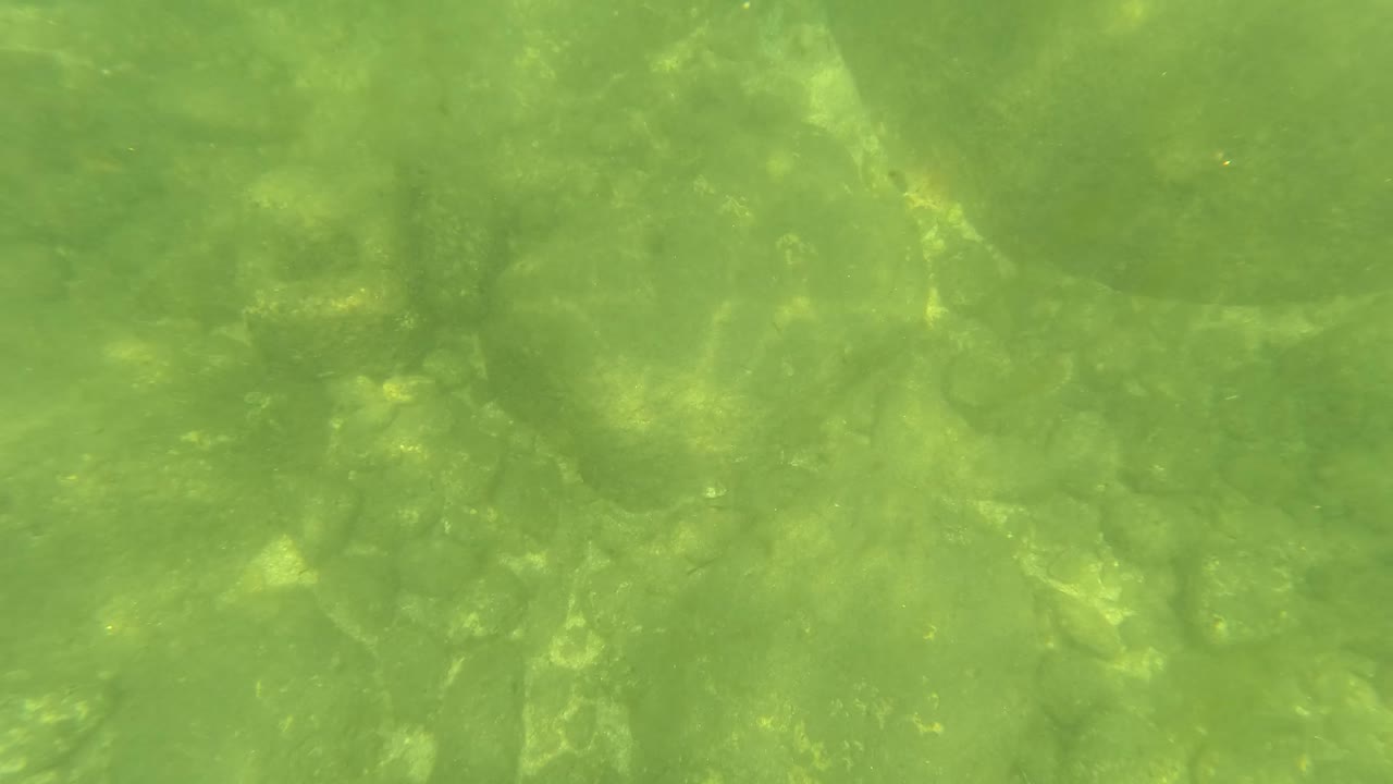 Green-tinted underwater frame in San Jose Del Cabo showing a rocky seabed beneath soft surface light with no visible people.