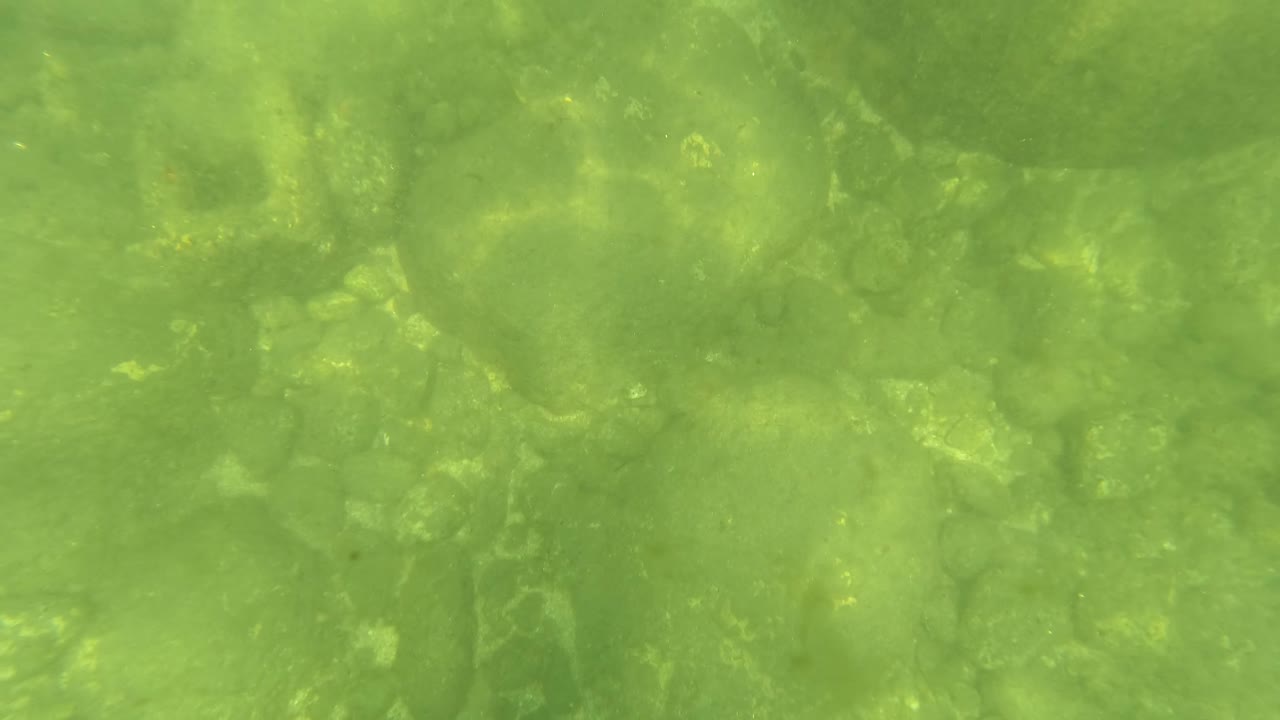 Underwater San Jose Del Cabo view with pale stones and darker rock patches visible through green water, with no visible people.