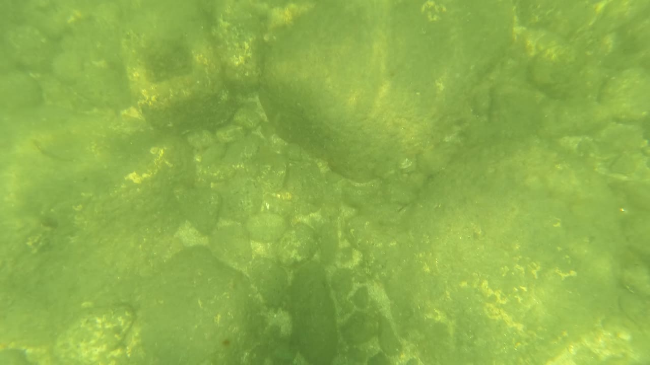 Green underwater frame from San Jose Del Cabo with sunlight falling across uneven seabed rocks and no visible people.