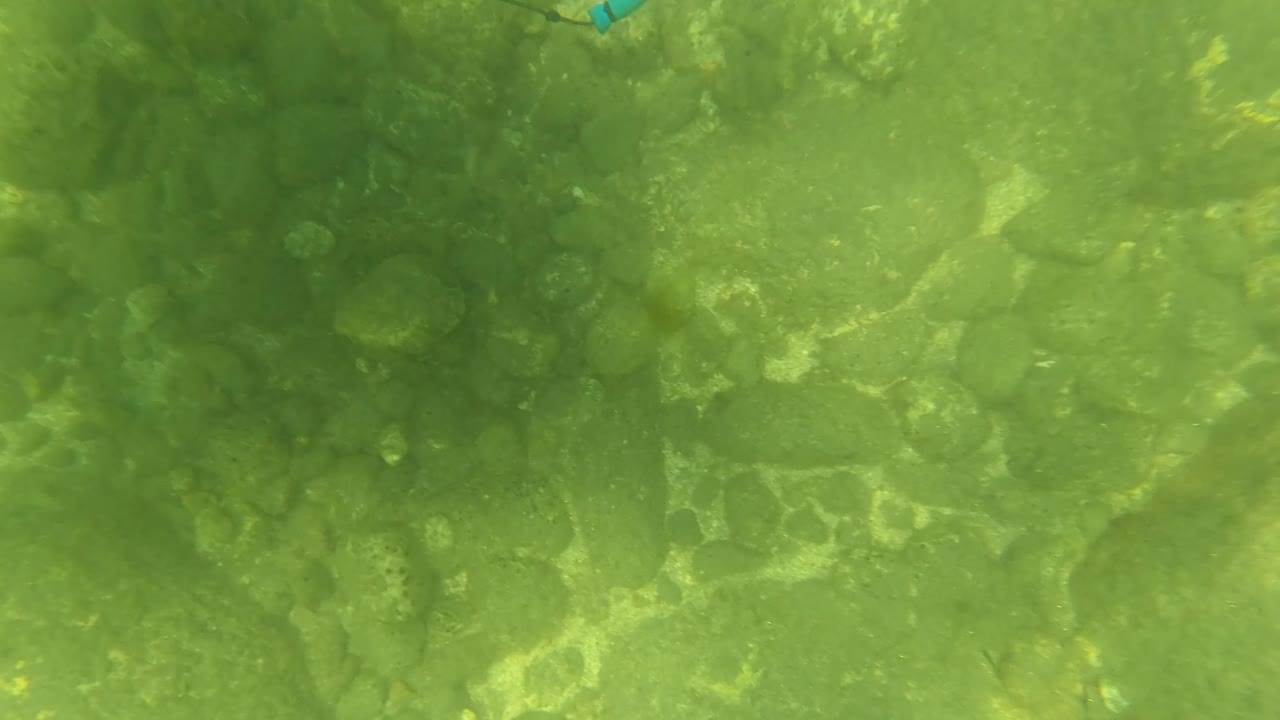 Underwater rocks with darker green water.