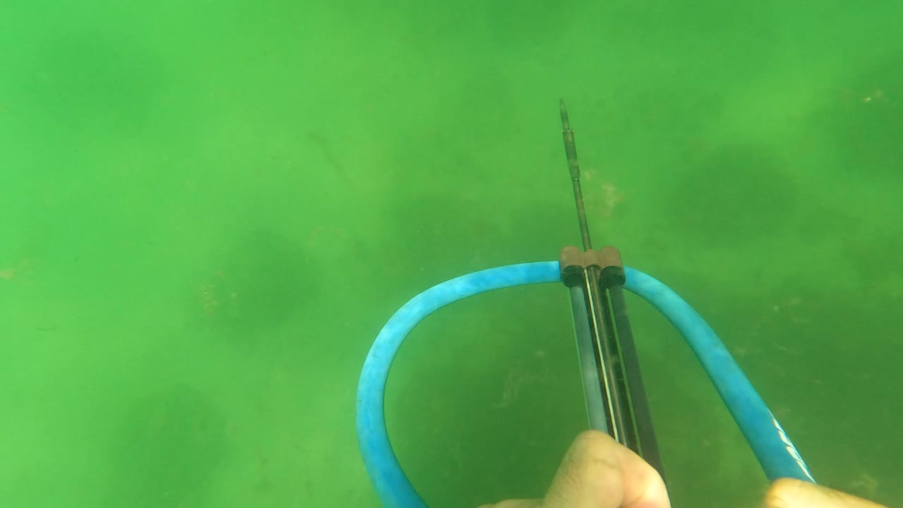 Underwater speargun view in San Jose del Cabo, Mexico, with the blue hose looping left, a black barrel near center, cloudy green water, dark seabed patches, and no visible people beyond partial hands.