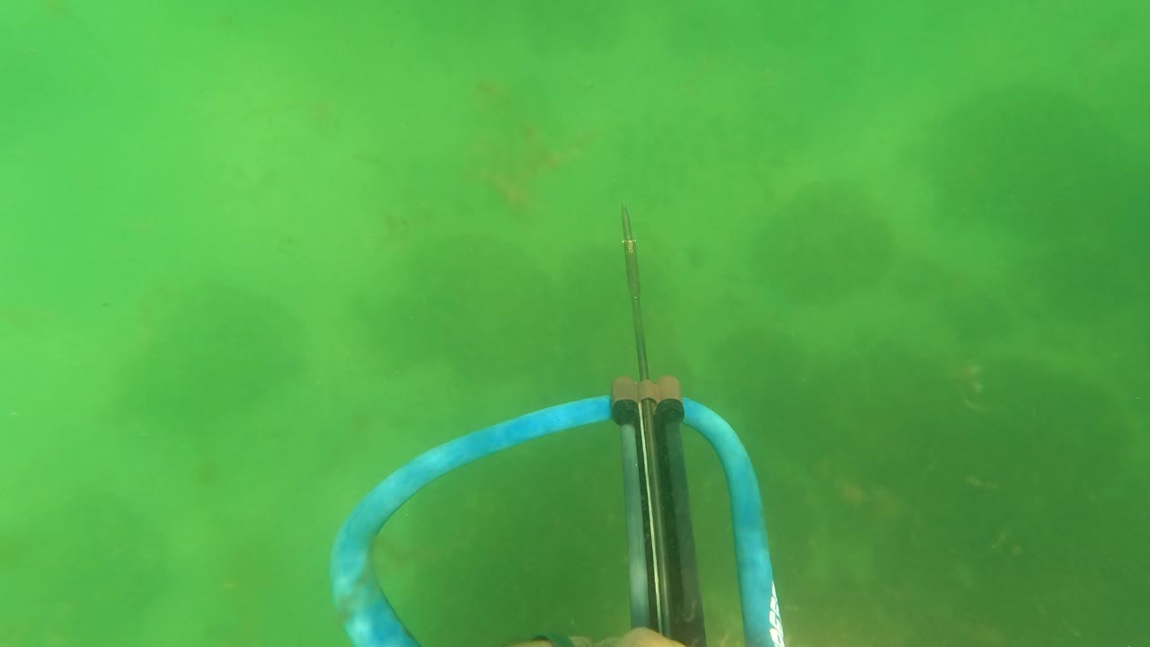 The speargun sits more centered in San Jose del Cabo underwater footage, with the blue hose curving across the lower left, a narrow spear tip above the barrel, green haze, and no visible faces.
