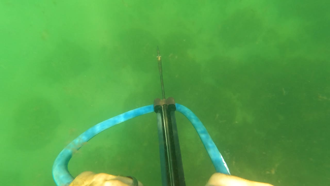 In this San Jose del Cabo frame, partial hands hold the speargun at the bottom edge while the blue hose arcs around the black tube, with green water and shadowy seabed texture behind it.