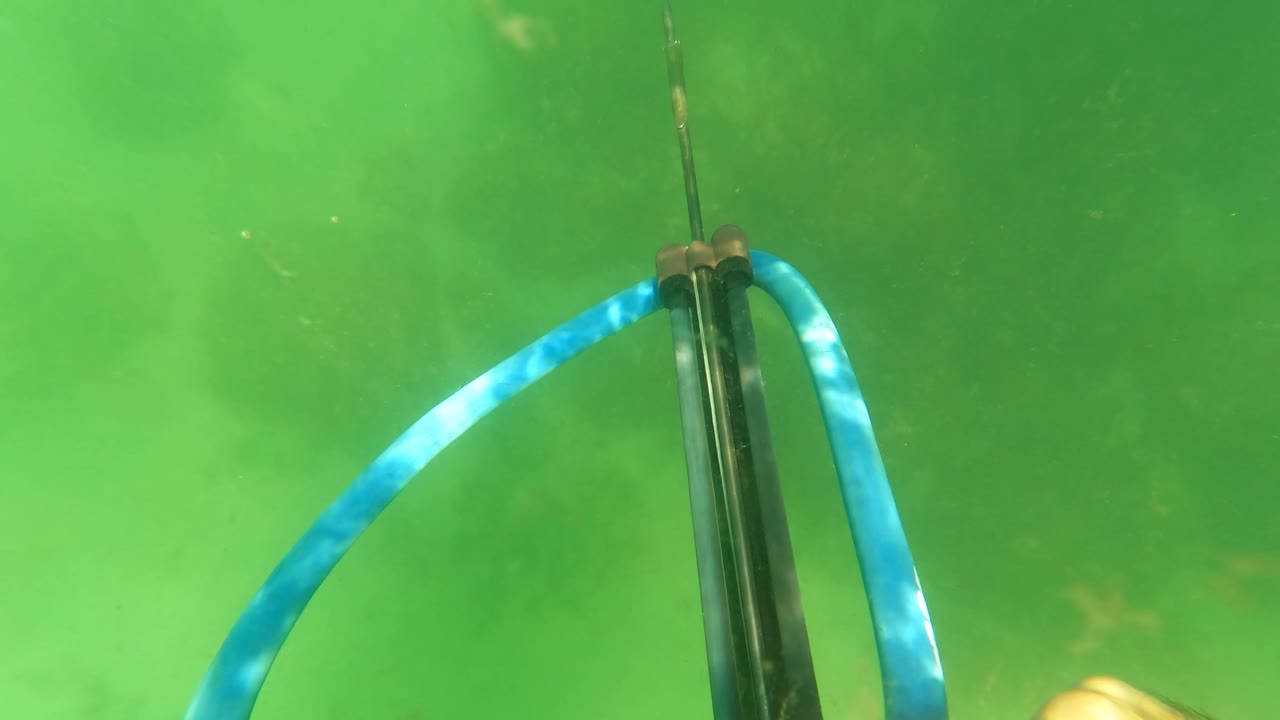 A speargun with a bright blue band points upward through green water in San Jose del Cabo, with no visible faces or identifiable people.