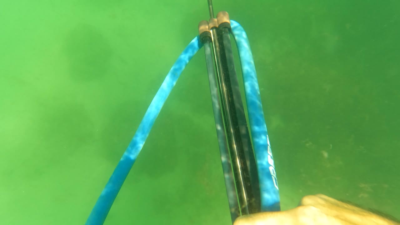 Close underwater view of speargun and blue band