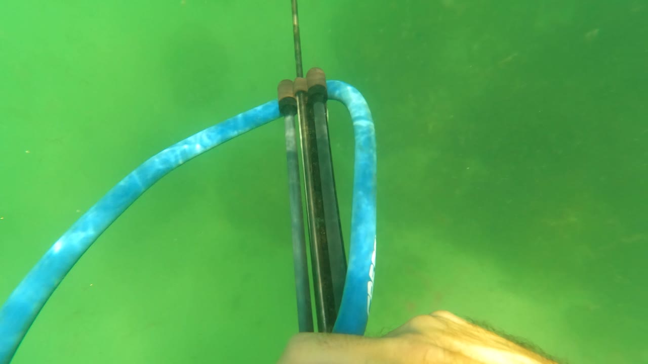 A hand grips the speargun at the lower edge while the blue band curves to the side in green San Jose del Cabo water, with no visible faces or identifiable people.