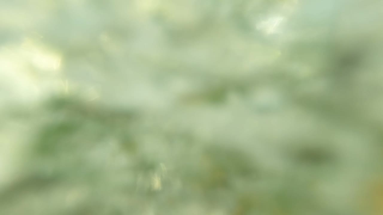 Blurry underwater view with bubbles and green water filling the frame.