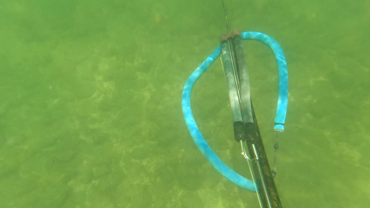 Underwater San Jose Del Cabo view with a blue speargun and dark shaft at the right edge over green shallow water and faint rocky seabed texture, with no visible people.