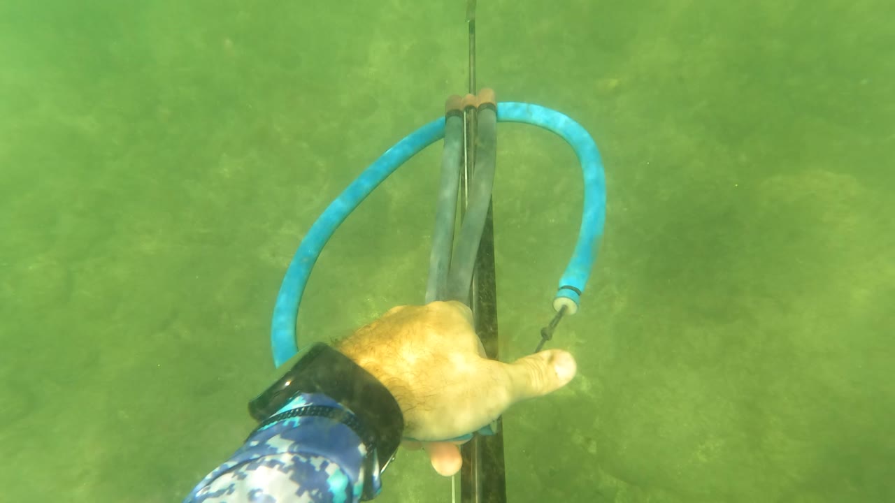 At 0:00, a hand and patterned sleeve hold a speargun with a bright blue band in green water near San Jose Del Cabo, with no visible people beyond the arm.