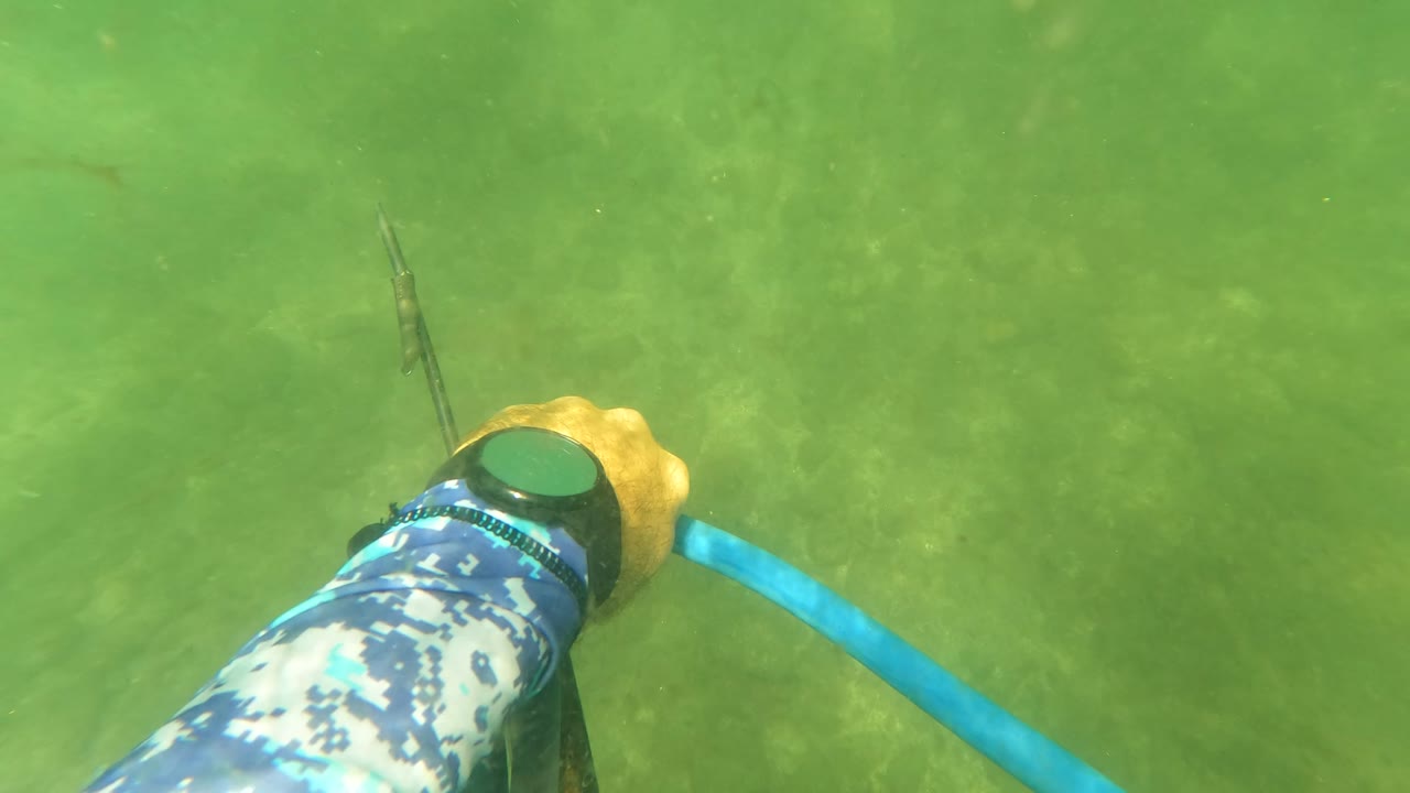 At 0:01, the shooter’s hand grips the blue speargun band as the spear points forward through green water in San Jose Del Cabo, with no face or full person visible.