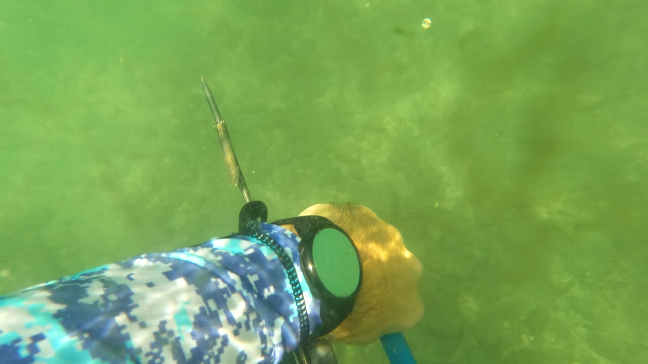 At 0:02, the speargun and hand angle across the right side of the frame in green San Jose Del Cabo water, with the blue band partly visible and no recognizable person shown.
