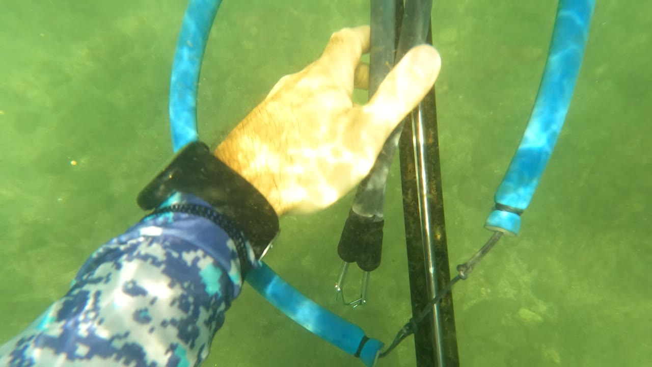 Hands in blue camouflage sleeves hold a speargun and bright blue bands underwater in San Jose del Cabo, with green water and the seabed behind them.