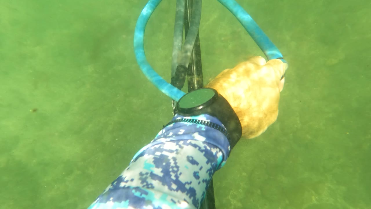 Hand adjusting a blue speargun band underwater
