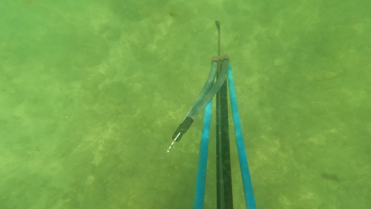 The speargun tip and blue bands hang in green underwater visibility in San Jose del Cabo, with no hands centered in the frame.