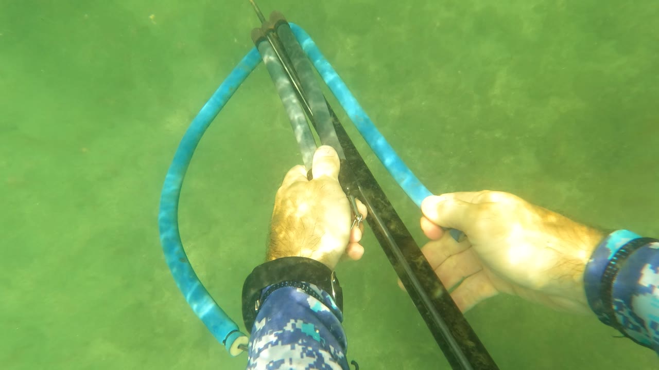 The speargun is held vertically in the frame while the diver's hands manage the black shaft area and blue band in green underwater light.