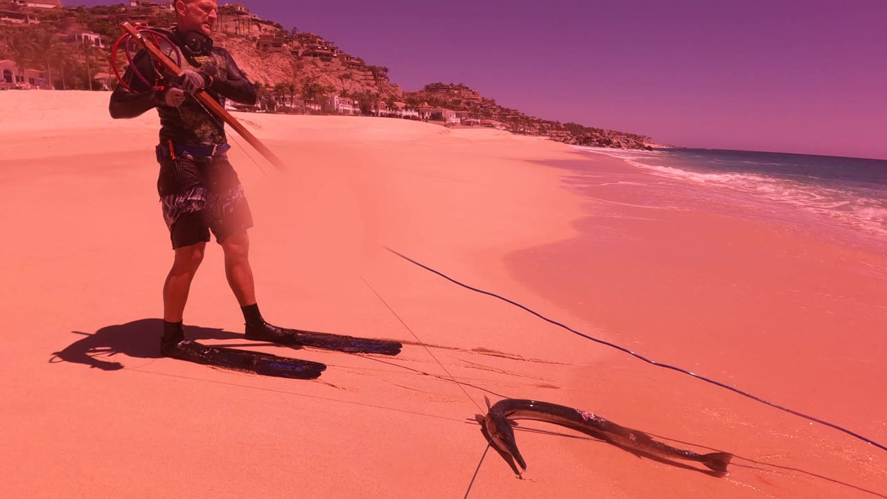 A long fish lies on the tinted sand in the foreground of a San Jose Del Cabo beach, with a line running across the frame, surf on the right, and resort buildings in the distance.