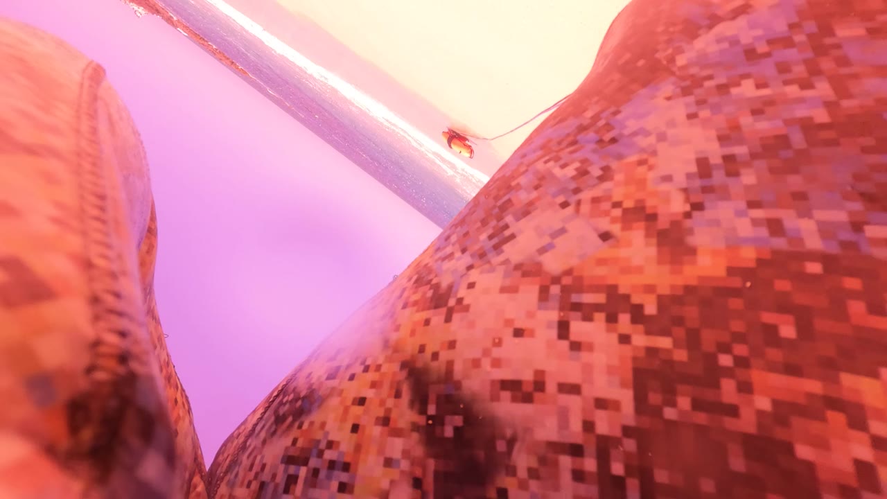 Low close-up in San Jose Del Cabo showing camouflaged pants filling the foreground with purple corridor light and a metal pole behind it.