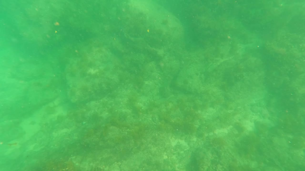 Underwater frame in San Jose Del Cabo, Mexico, showing darker rock forms beneath green water with fine particles and no visible people.