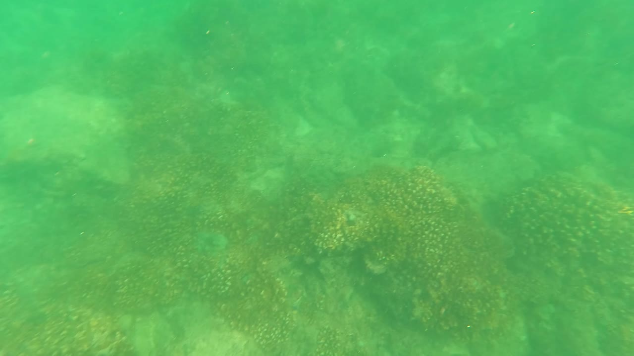 Mid-clip underwater frame in San Jose Del Cabo, Mexico, showing a rocky ocean floor softened by green water haze and no visible people.
