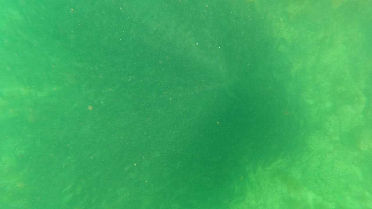 San Jose del Cabo underwater view with a faint darker fish-like shadow inside the green haze and no visible people.