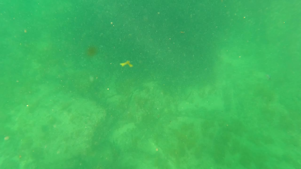 Green underwater frame with hazy reef texture