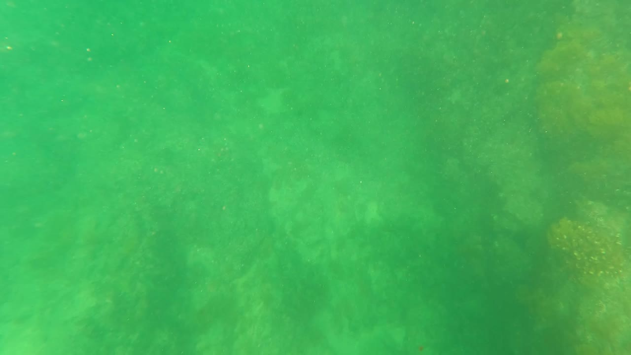 Green-tinted underwater view of a rocky seabed in San Jose del Cabo with suspended particles and no visible people.