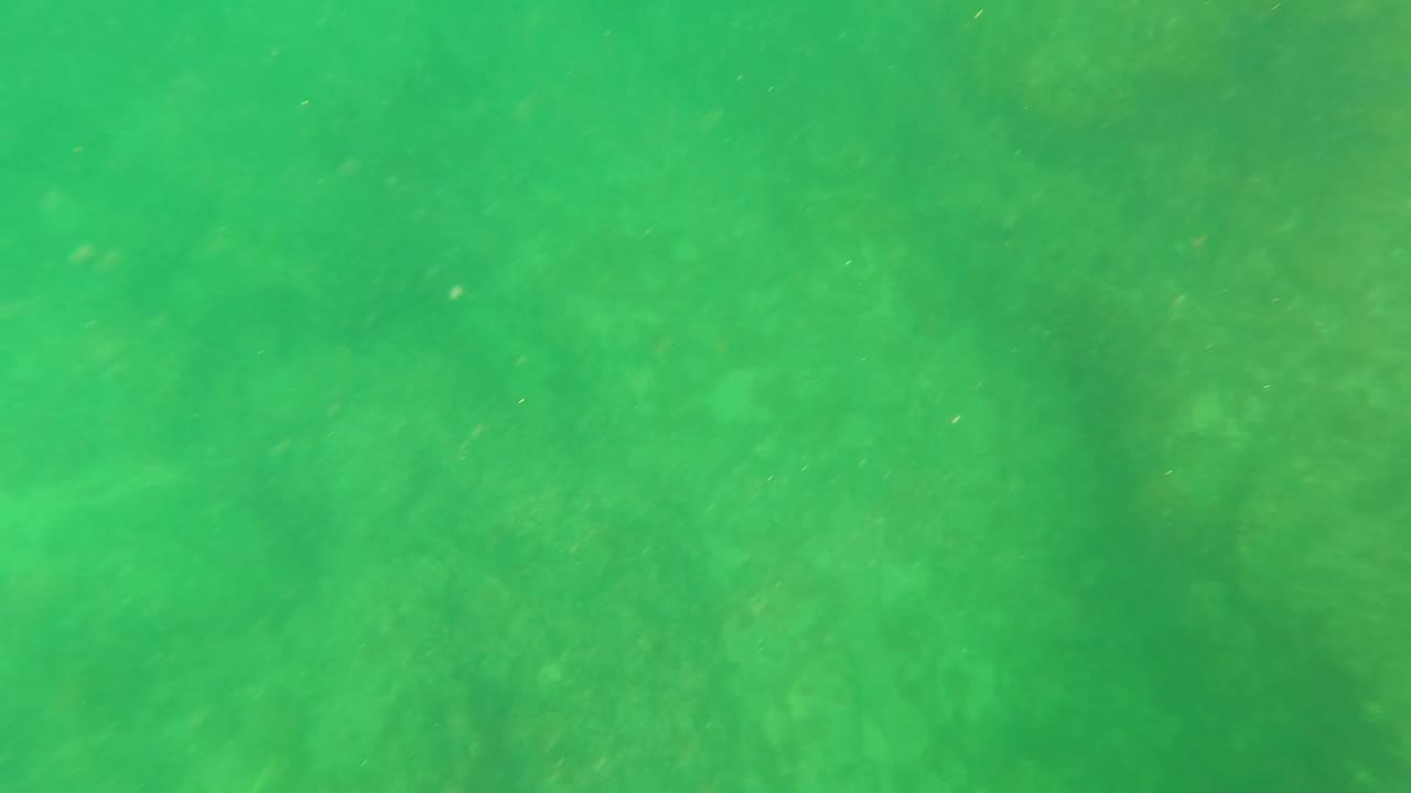 Submerged rocks under green water