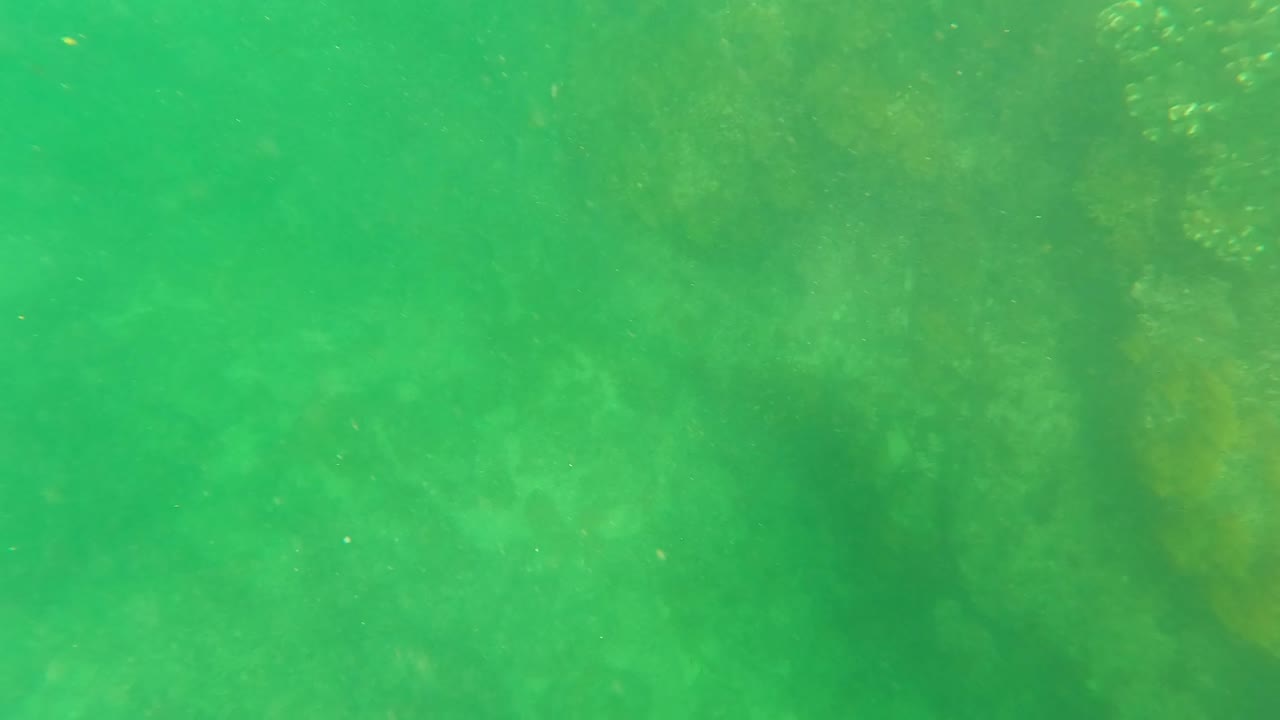 Rock formations are visible through the green underwater haze in San Jose del Cabo, with particles drifting across the frame and no visible people.