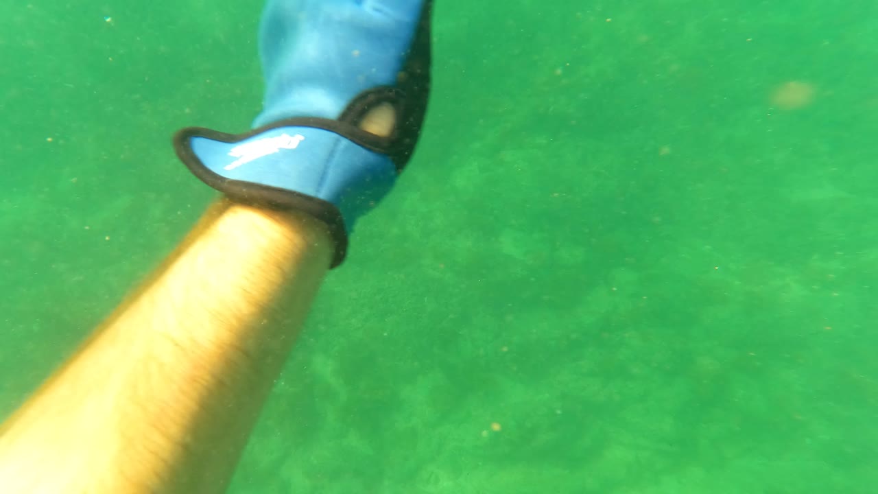 A swimmer's limb with a blue-and-black fin appears near the top of the green underwater frame in San Jose del Cabo, with seabed visible below.