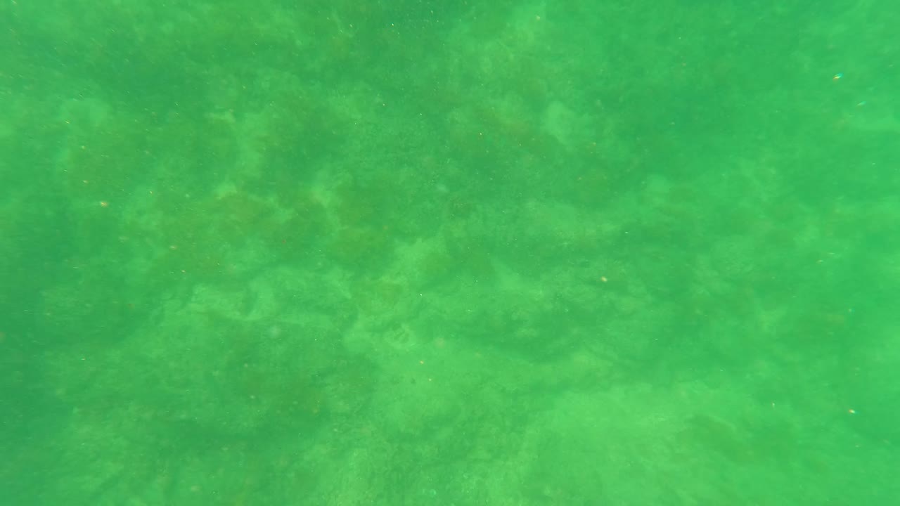 Underwater seabed seen through green water and particles.