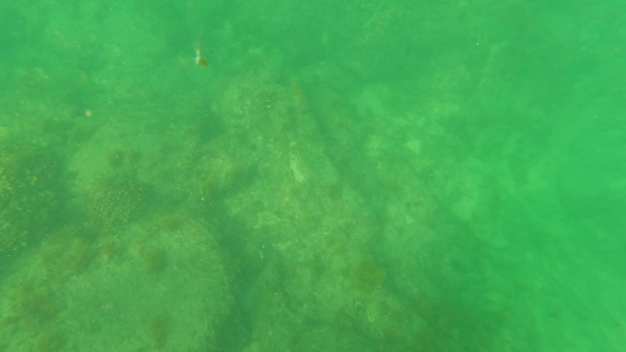 Green underwater view in San Jose del Cabo showing a rocky seabed through hazy water with no visible people.