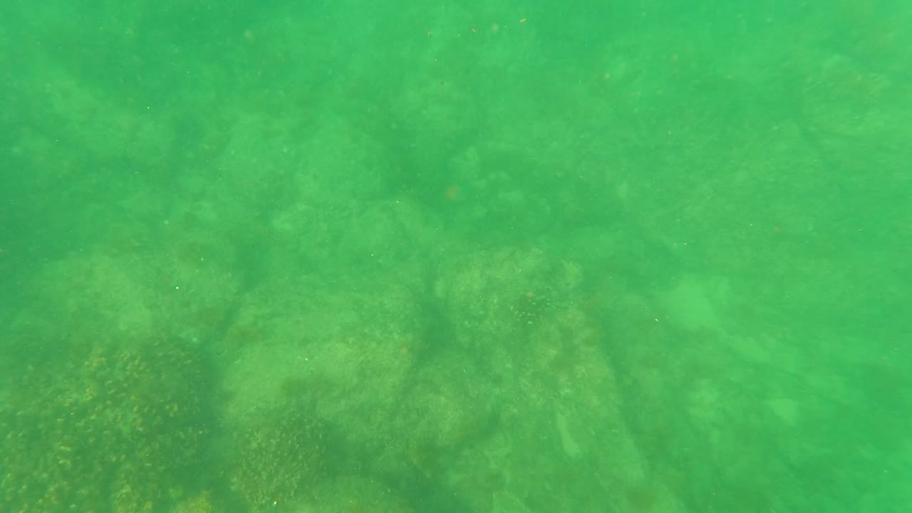 A slightly murky green underwater frame in San Jose del Cabo shows rocks and marine growth across the seabed with no visible people.
