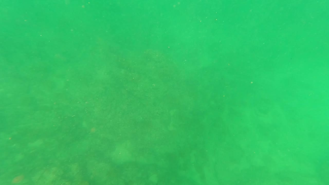 San Jose del Cabo underwater rocks recede into green water, with fine particles drifting and no visible people.