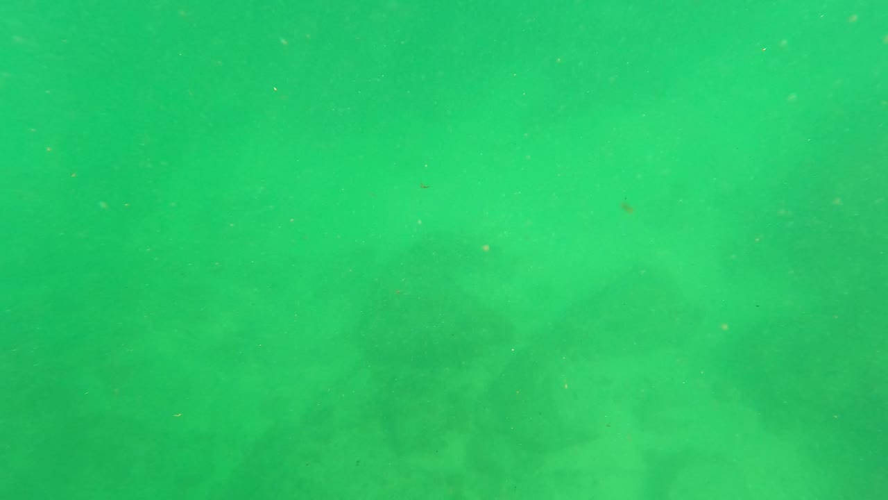 Hazy green water over submerged rocks