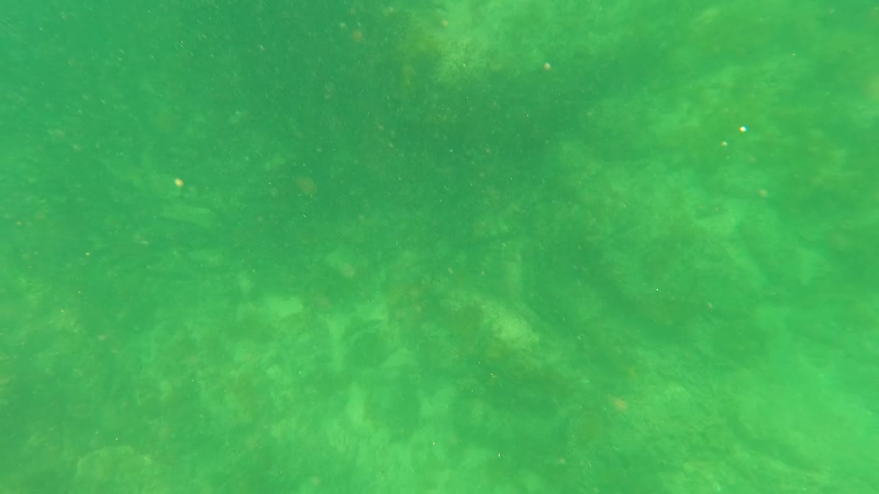 Green underwater view in San Jose del Cabo with a faint rocky seabed below, suspended particles in the water, and no visible people.