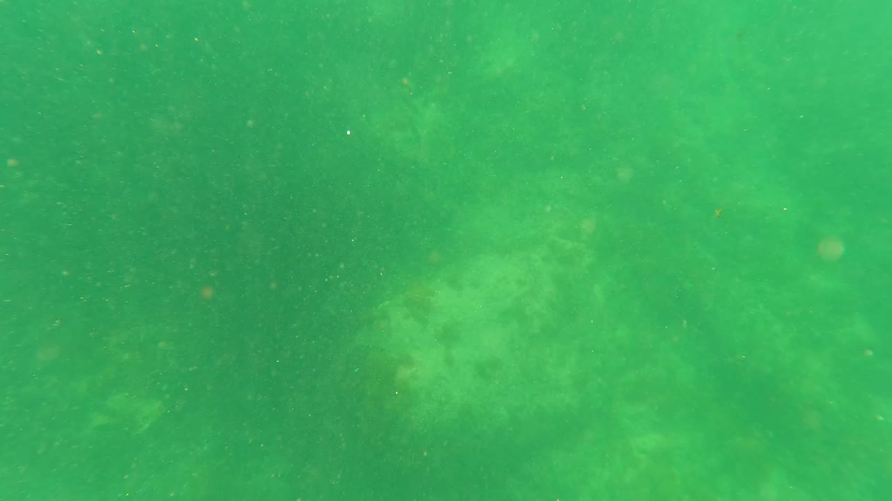 Green underwater San Jose del Cabo frame with soft light through the water, a muted rocky seabed beneath, drifting particles, and no visible people.