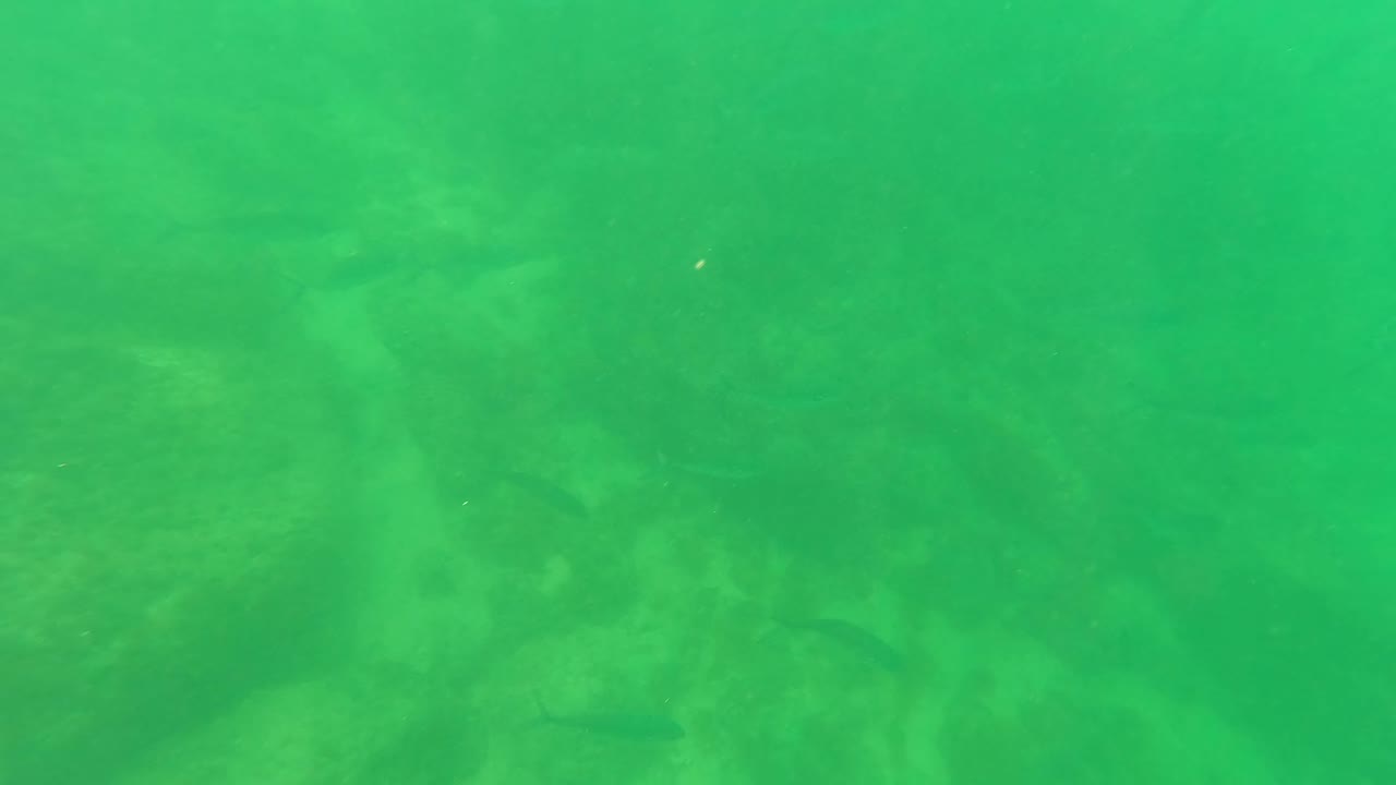 Mid-clip underwater frame from San Jose Del Cabo with green water, softened rock forms on the bottom, and faint fish shapes, with no visible people.