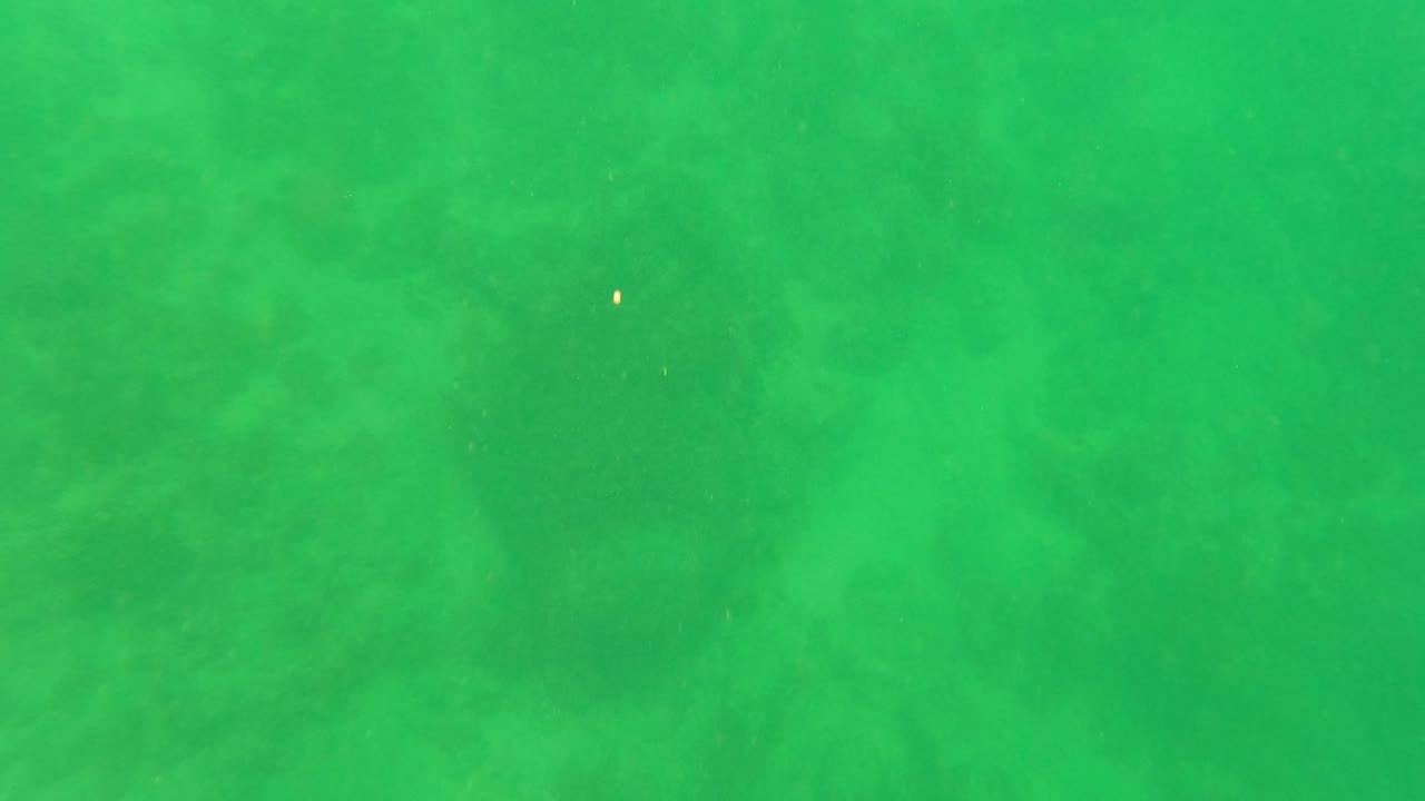 Opening frame of green-tinted water over a faint sandy seabed in San Jose Del Cabo, Mexico, with tiny suspended particles and no visible people.