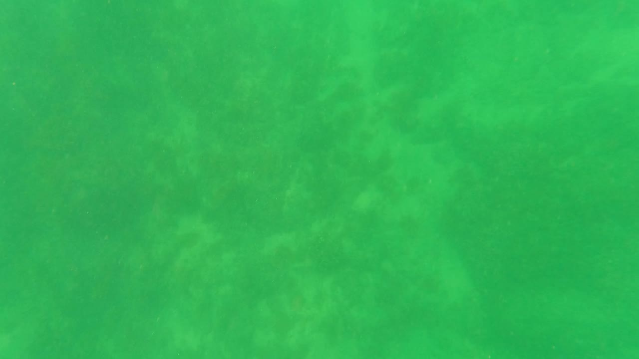 Second frame shows the San Jose Del Cabo underwater seabed through green water, with a slightly darker sandy texture visible below and no visible people.