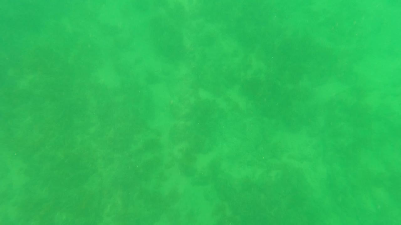 Mid-clip frame holds on green underwater water in San Jose Del Cabo, Mexico, where soft seabed shadowing and fine particles remain visible, with no visible people.