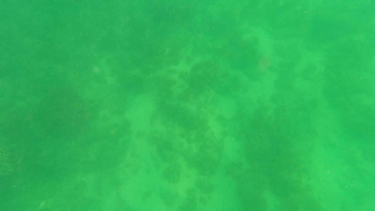 Green-tinted underwater seabed in San Jose Del Cabo with soft rocky formations and sandy patches visible through clear water, no visible people.