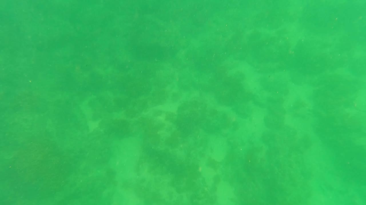 Underwater ocean floor with green water and faint rock shapes.